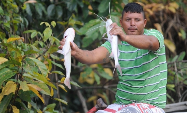 Caixa comea a pagar auxlio emergencial a pescadores