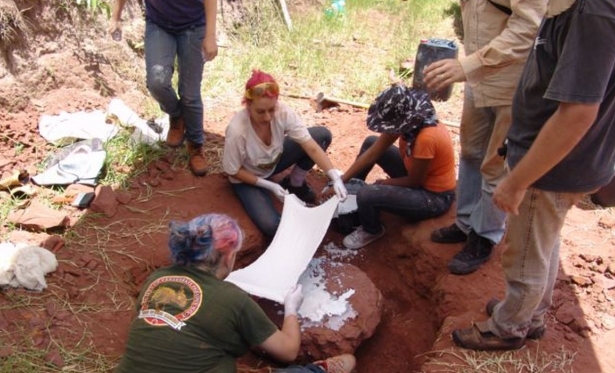 Museu Nacional anuncia descoberta de dinossauro muito raro