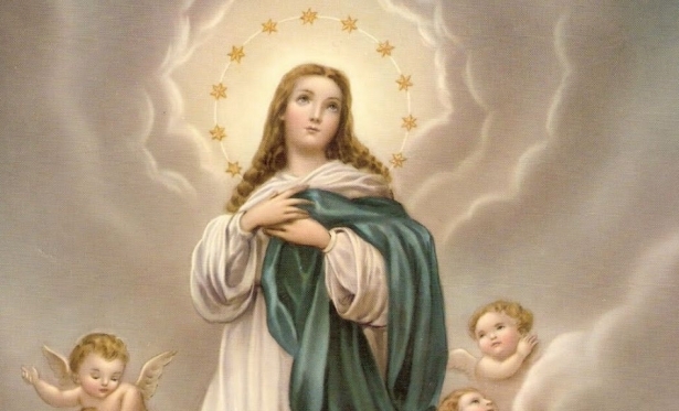 08/12: Santo do Dia - Imaculada Conceição de Maria