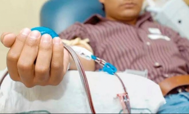 Brasil deve investir R$ 1,8 milhão em medicamentos para hemofílicos