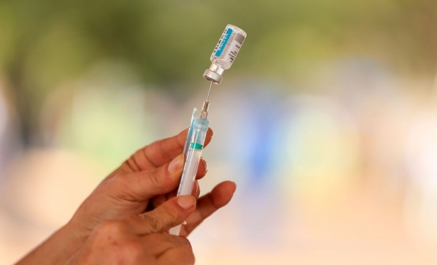 Covid-19: Vacina  com IFA nacional ser entregue em fevereiro