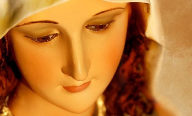 Você já ouviu falar de Nossa Senhora da Árvore?