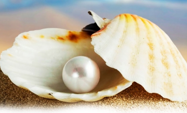 23/08 - Evangelho do Dia: Mt 13,44-46