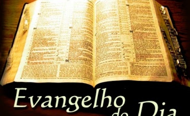 Evangelho do Dia - Mt 13,44-46