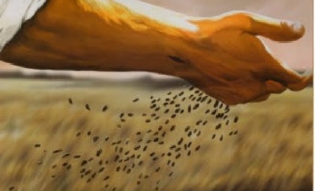 31/01 - Evangelho do Dia: Mc 4,26-34