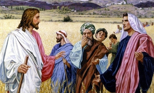 28/07 - Evangelho do Dia - Mt 13,36-43