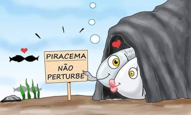 Piracema começa em Novembro; saiba o que é ou não permitido na pesca